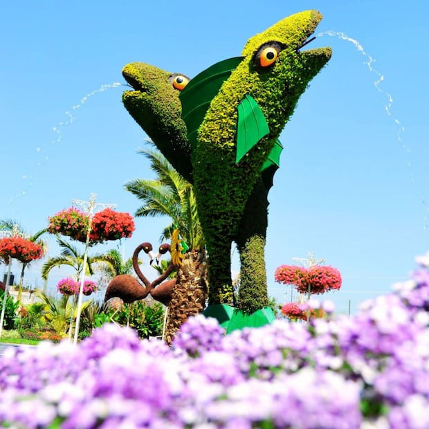 Foto: quehacerenatlixco.com