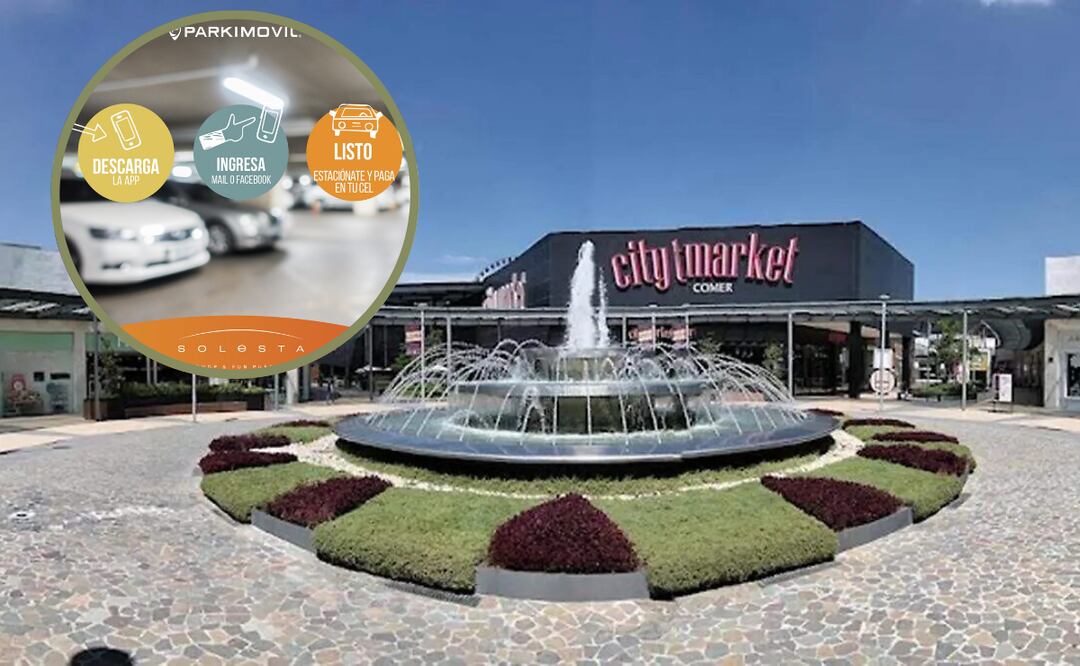 Debido a su invento, ya la buscan para darle 30 días de estacionamiento gratis I Foto: Especial