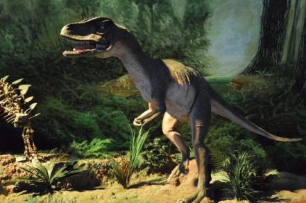 Museo de la Evolución en Tehuacán, Puebla. Horarios, salas y precios
