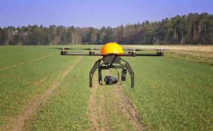 Reforestan bosques mexicanos con drones    