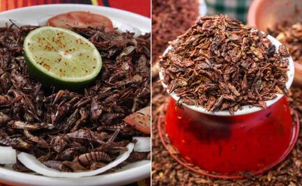 Chapulines: Cómo preparar este manjar prehispánico y mejorar tu salud