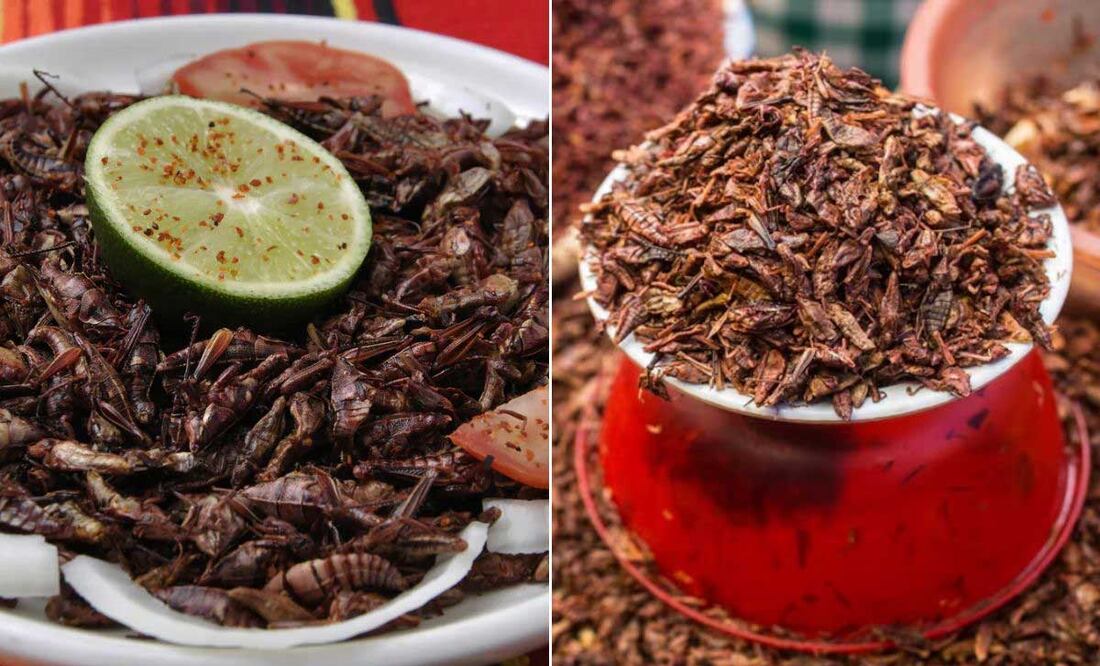 Consumo de cjhapulines / Foto EsImagen