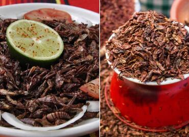 Chapulines: Cómo preparar este manjar prehispánico y mejorar tu salud
