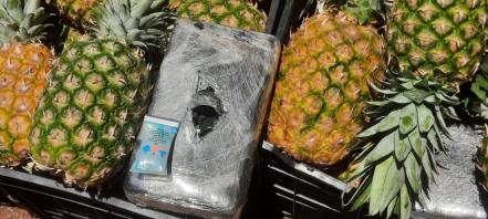 ¡Traficaba cocaína en piñas! Guardia Nacional detecta cargamento de droga en la Puebla-Acatzingo