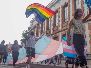 Propone Morena cárcel a quienes ofrezcan terapias de conversión de género