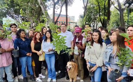 Alejandro Armenta continúa regalando árboles para reforestar a Puebla