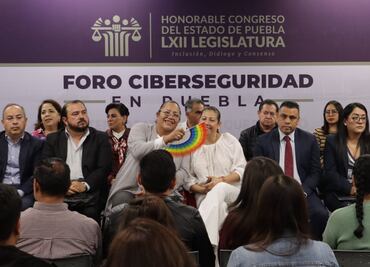 Ley de Ciberasedio no protegerá a funcionarios, harán reforma al artículo 480