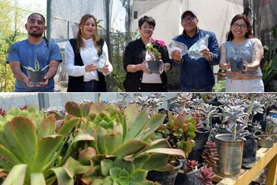 Así funciona el vivero de la BUAP que produce plantas y apoya la investigación en Puebla