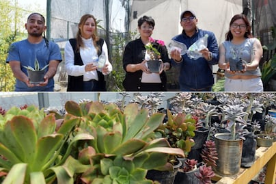 Así funciona el vivero de la BUAP que produce plantas y apoya la investigación en Puebla