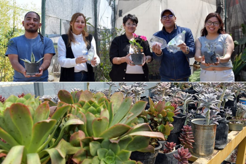 Así funciona el vivero de la BUAP que produce plantas y apoya la investigación en Puebla