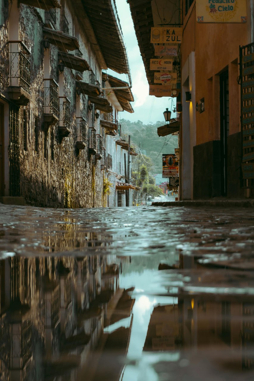 Foto: Pexels