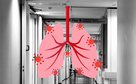 ¿Nueva pandemia? Esto se sabe sobre el Virus Metapneumovirus 