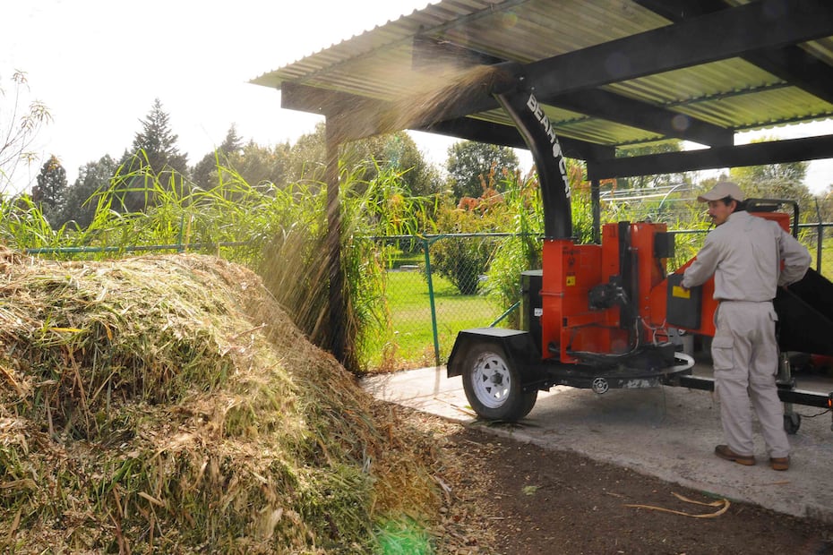 No tires tu árbol, la BUAP lo recicla | Foto: Buap