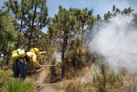 Hay nueve incendios forestales activos en Puebla