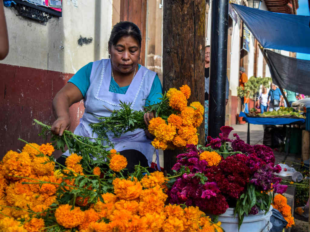 Esta variedad de opciones permite a los compradores elegir según su presupuesto y preferencias para adornar sus ofrendas.


Foto: Producción El Universal Puebla