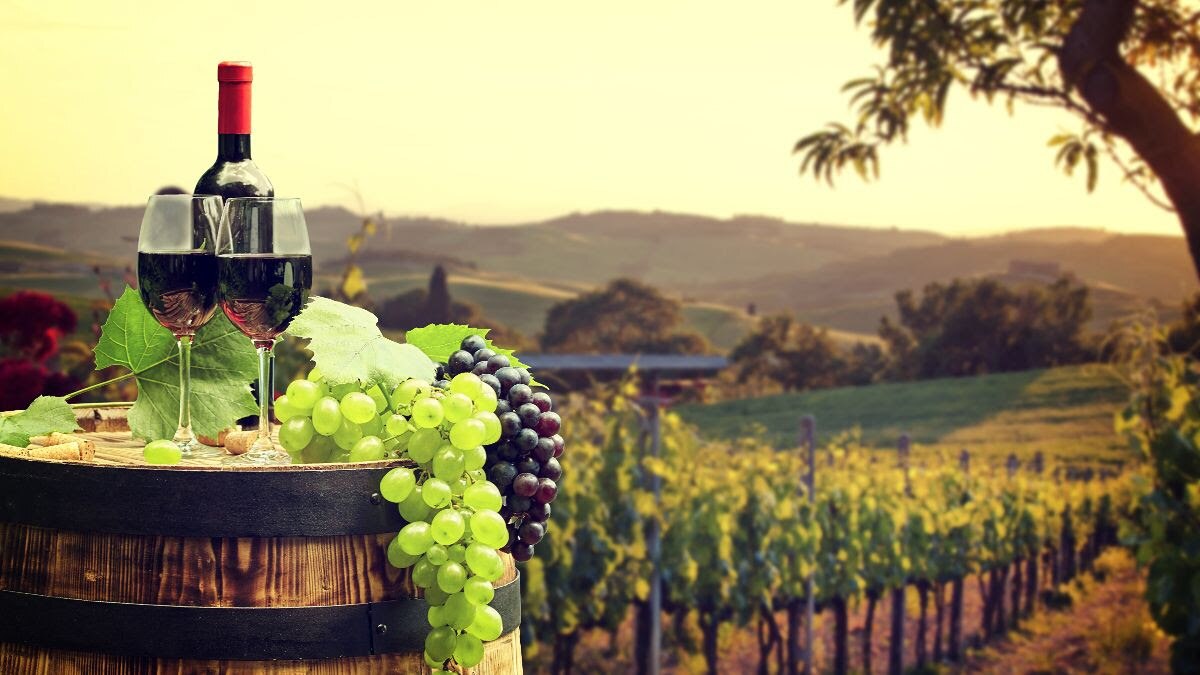 Puebla se abre paso en el mercado del vino tinto