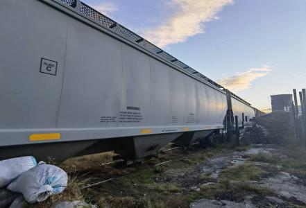 Aseguran a 26 migrantes frente a la Audi