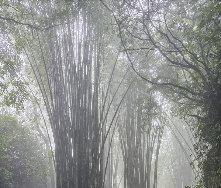 Foto: FB Hola Cuetzalan