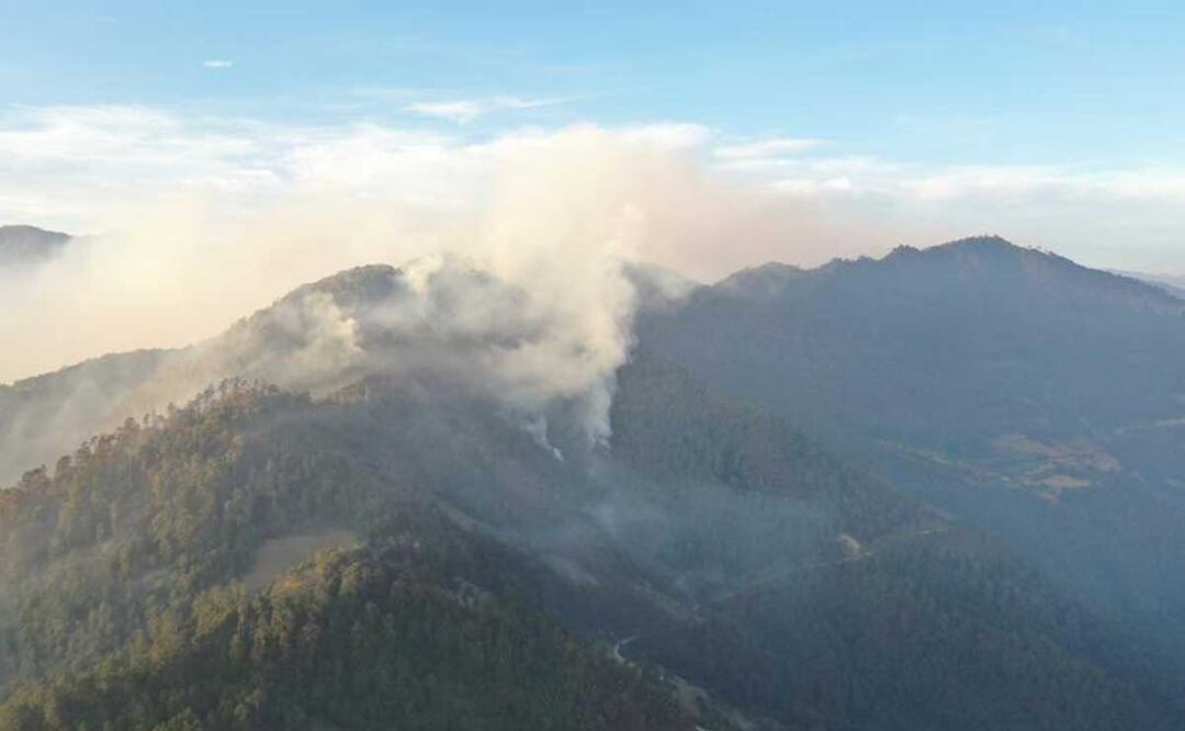 El incendio forestal en Zacatlán ha dañado un total de 700 hectáreas y generado la evacuación de 94 personas | Foto: Twitter Sergio Salomón