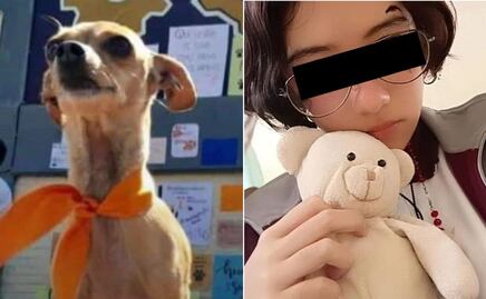 Esto es lo que más alarma del caso Huellitas, perrito asesinado en Huauchinango
