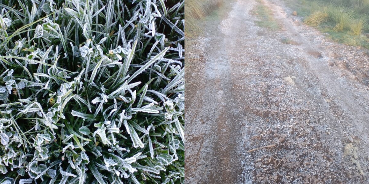 Temperaturas de 2 a 5 grados Celsius en algunos municipios del estado de Puebla / Foto: Redes Sociales