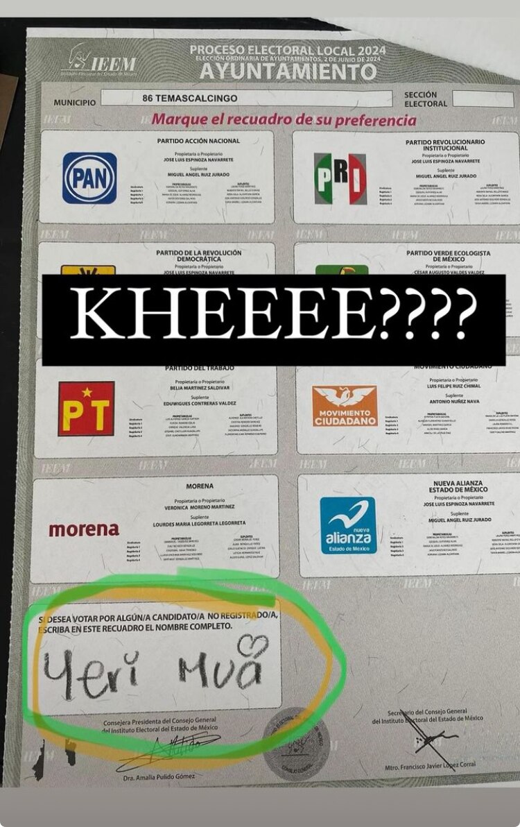 Las elecciones del 2024 fueron el pretexto perfecto para expresarse libremente| Foto: Canvas/ Redes Sociales