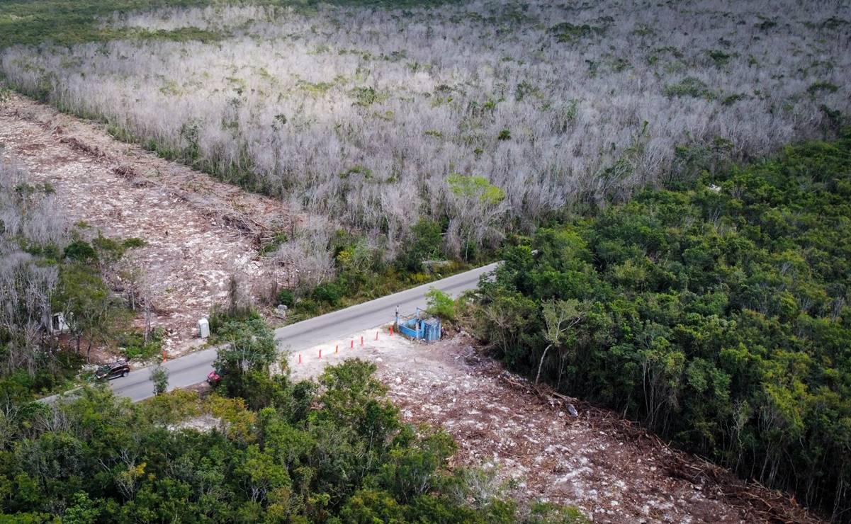 Tramo 5 del Tren Maya. Foto: Cuartoscuro.