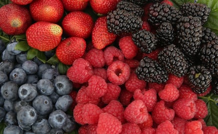 Cultivo de frutos rojos ayudó a frenar la migración en Huejotzingo