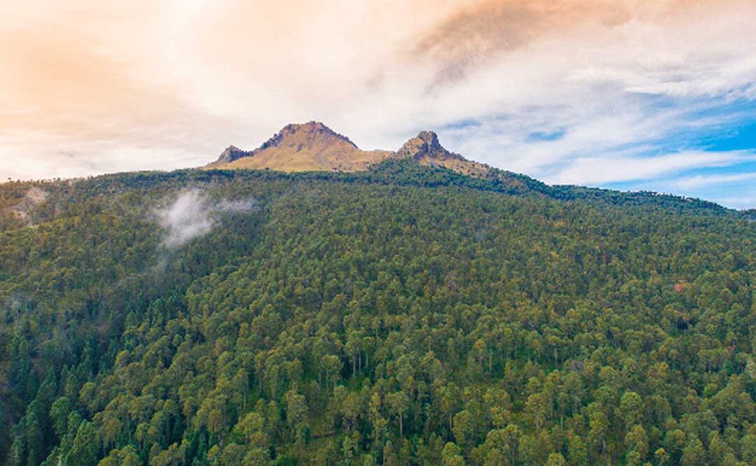 El Parque Nacional La Malinche es una de las Áreas Naturales Protegidas del estado Puebla | Foto: Abel González, Gobierno de México