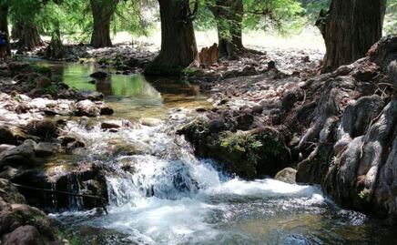4 razones por las que debes visitar las cascadas de Ahuehuetla 