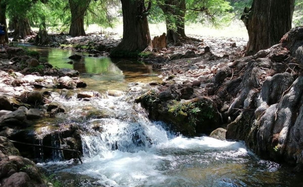 4 razones por las que debes visitar las cascadas de Ahuehuetla