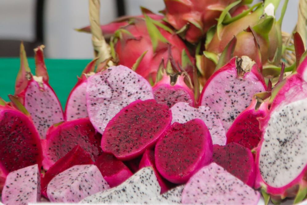 La pitahaya es una de las frutas exóticas que se siembran en Puebla y es muy popular en el exterior | Agencia Es Imagen para El Universal Puebla
