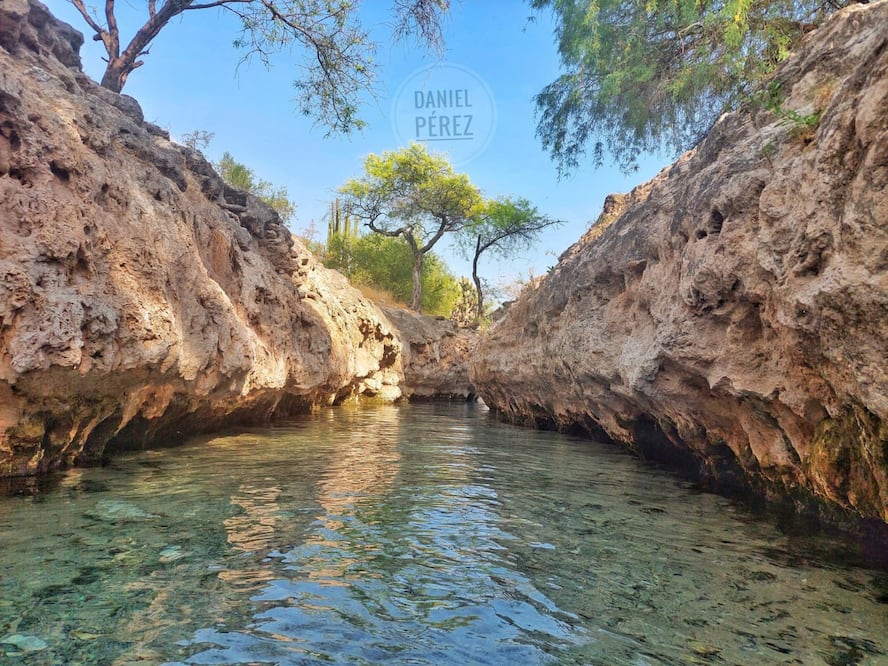 El manantial La Taza se encuentra en una zona semidesértica | Foto: Daniel Perez