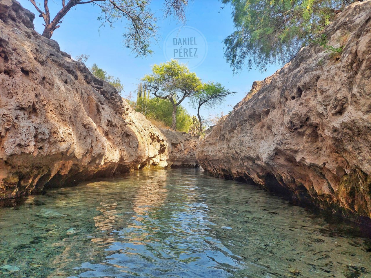 Cómo llegar al espectacular manantial que está en medio de un desierto en Puebla