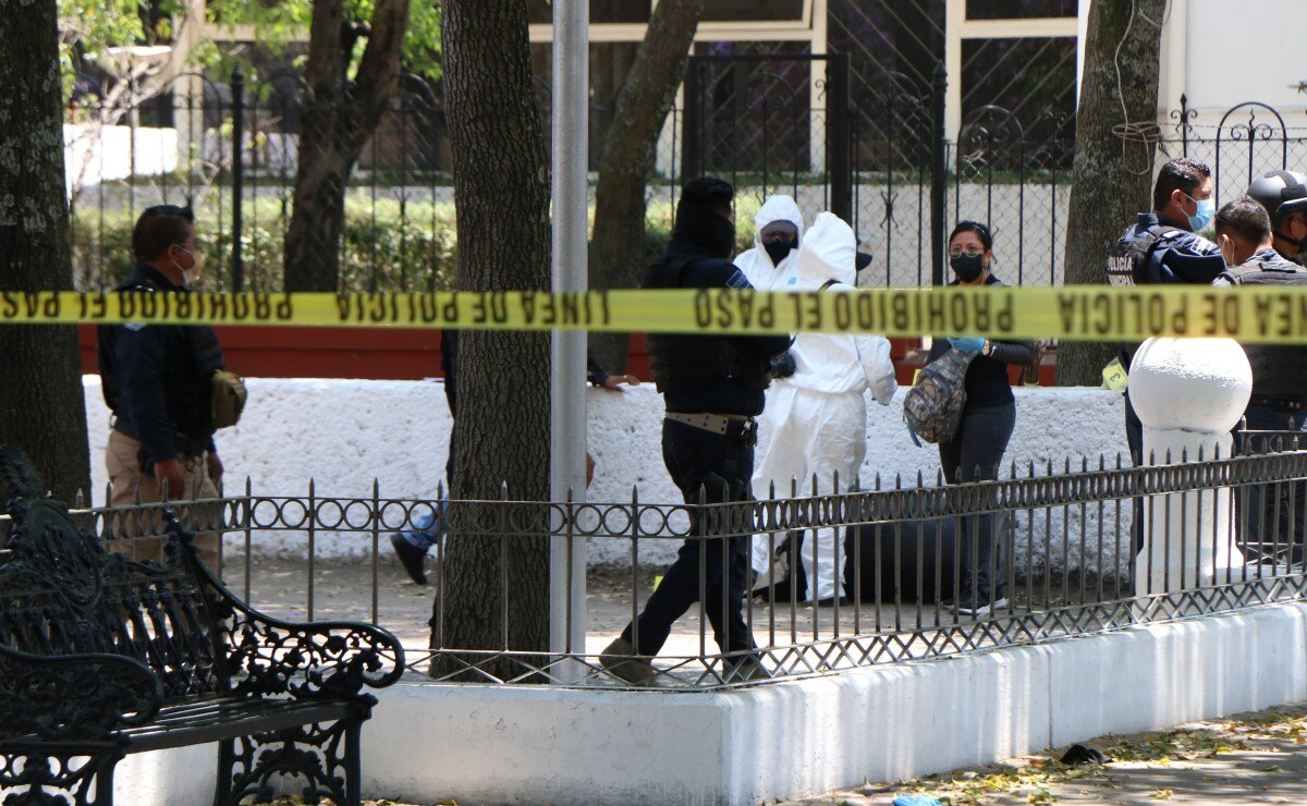 Parque de Las Ninfas y de los restos humanos