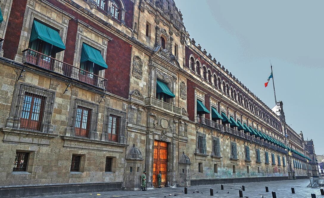 Presidencia gastará hasta 370 mil pesos para eliminar ratas y ratones de Palacio Nacional
