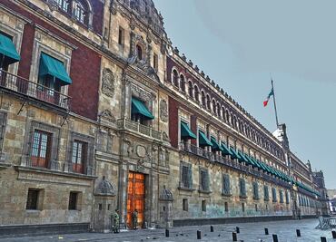 Presidencia gastará hasta 370 mil pesos para eliminar ratas y ratones de Palacio Nacional