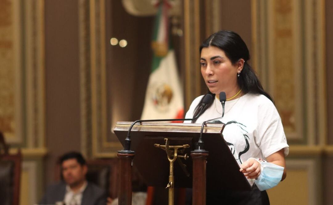 La diputada Nora Merino pide ampliar Ley 3 de 3. | Foto: Agencias Es Imagen para El Universal Puebla