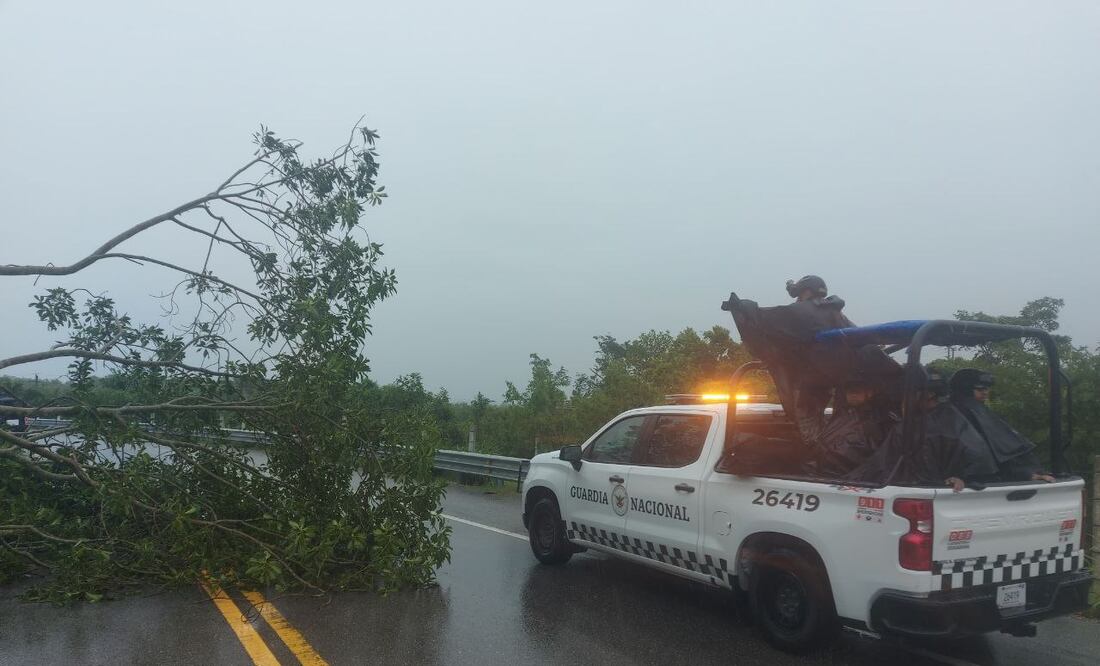 Los vientos pueden derrumbar árboles y espectaculares | Foto: EsImagen