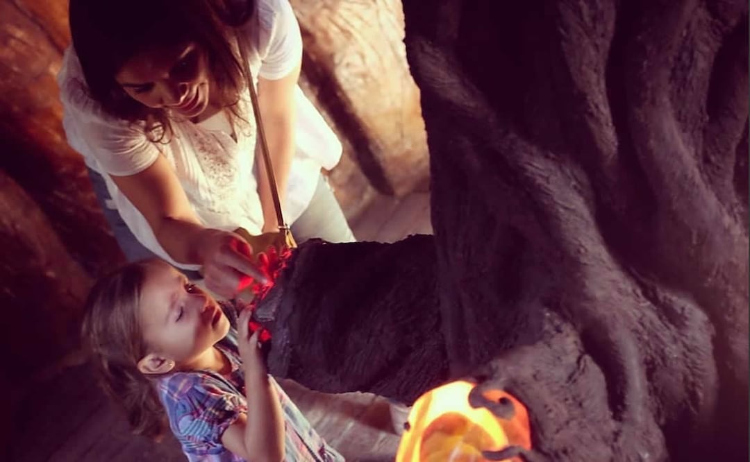 Se trata de una experiencia inmersiva. Foto: Arboterra