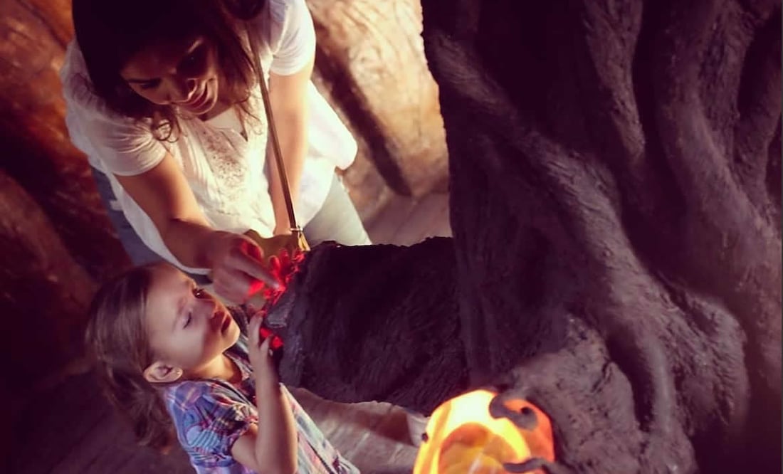 Se trata de una experiencia inmersiva. Foto: Arboterra