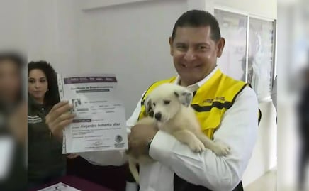 Pide Armenta legislar para frenar la venta de mascotas