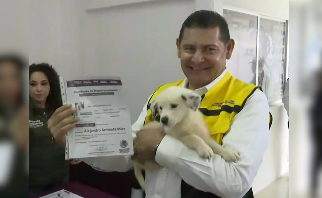 Armenta promueve la adopción responsable de mascotas | Foto: Captura de video