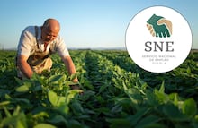 Oferta de trabajo en el extranjero con sueldo superior a $35 mil: así puedes postularte