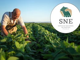 Oferta de trabajo en el extranjero con sueldo superior a $35 mil: así puedes postularte