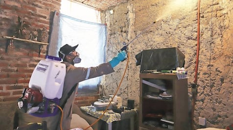 Dengue en Puebla. ¿Cuáles son los síntomas y cómo prevenirlo?