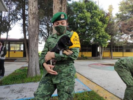 En Santa Lucía, Ejército habilita refugio para perritos callejeros 
