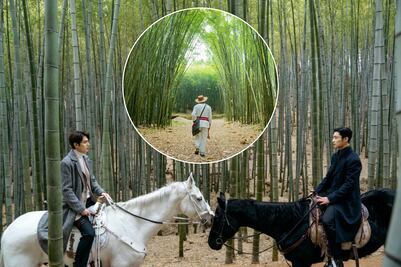 Bosque de bambú con neblina te hará sentir en un drama coreano
