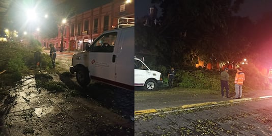 Caen 8 árboles y un espectacular por los fuertes vientos en Puebla; hay afectaciones