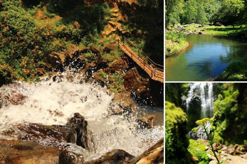 En Puebla hay un paraíso de cascadas, perfecto para disfrutar el verano | Foto: Cascadas paraiso